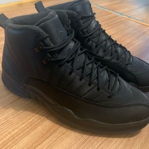 Jordan 11 winterized